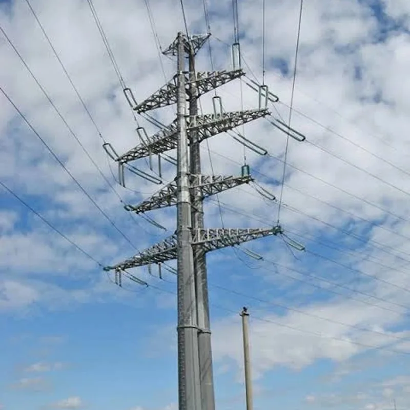 Elektriline terastoru poolus
