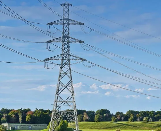 State Grid-Certified Excellence